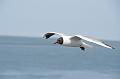 13_DP-2011-023 Bild0003c